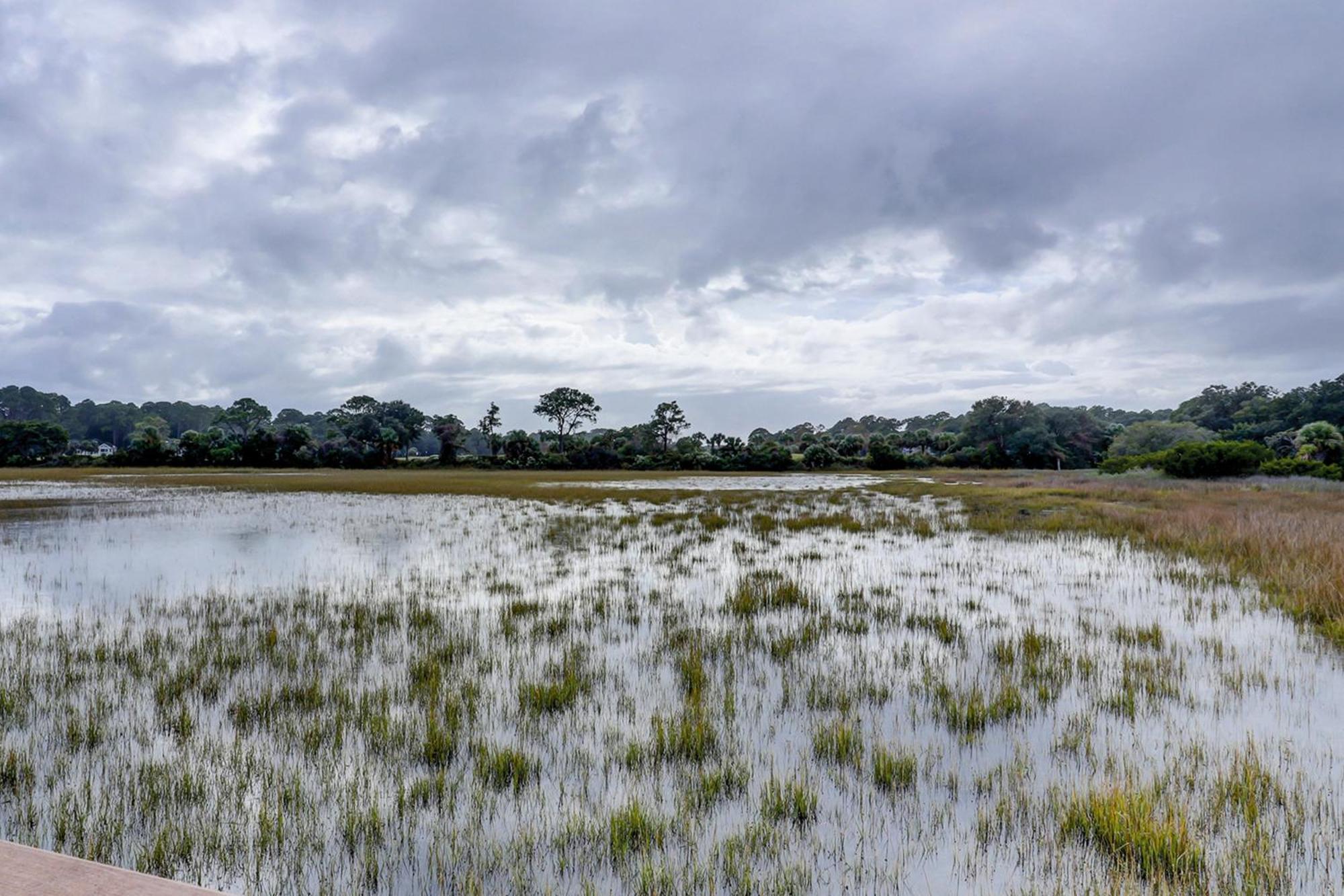Hilton Head Resort ฮิลตันเฮดไอส์แลนด์ ห้อง รูปภาพ